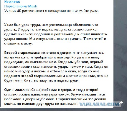 В Перми совершено нападение на школу. Пострадали пятеро учеников и учитель