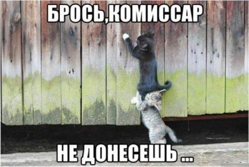 Четверг, это маленькая пятница! Картинки с подписями.