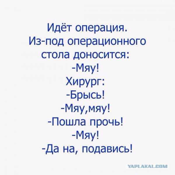 Коротко о погоде