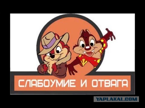 В Симеизе разбился мужчина, прыгнувший в море со скалы «Дива»‍