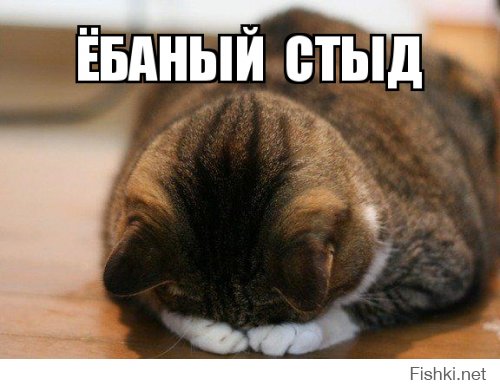 "Отряды Путина" записали видеообращение к американцам