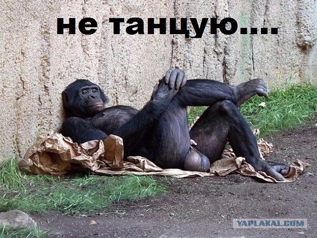 Первый мужчина