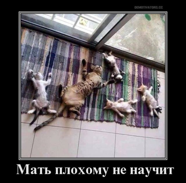 Давным-давно такое называлось ДЕМОТИВАТОРЫ