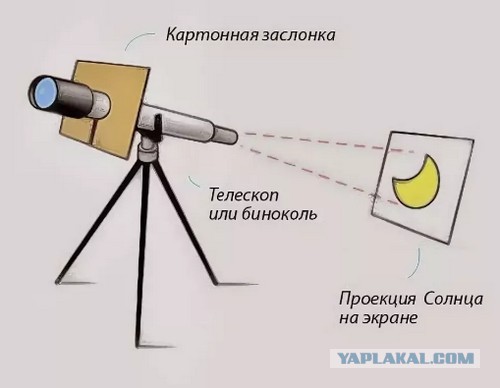 Луна не вращается вокруг своей оси?