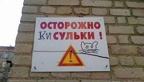 Свинегрет: картинки, надписи и прочее 06.02.20
