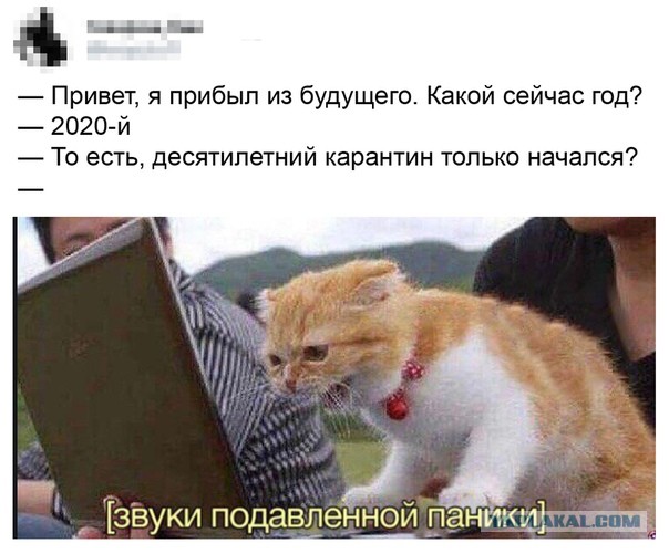 Бредзона 24.04.2020