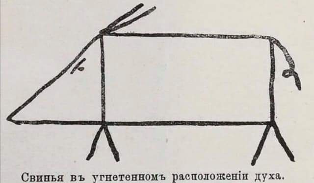 Жители Украины это правда?