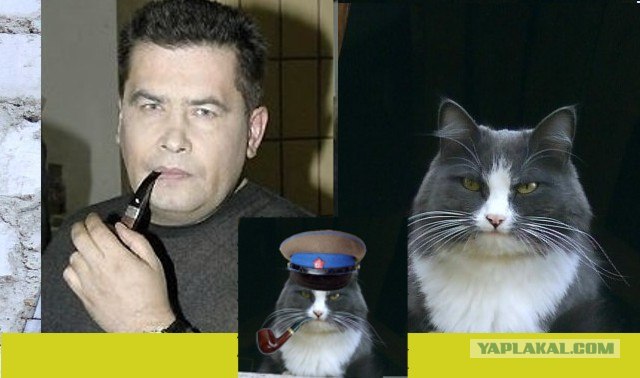 Товарищ Котофеев