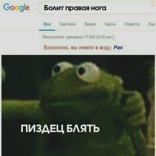 Чернушка 26.12.20