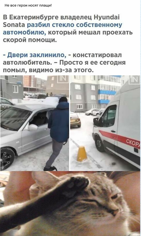 Бредзона 05.01.2021