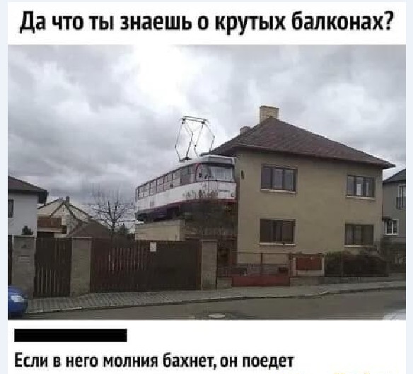 15117493.jpg