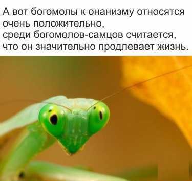 Запросы женщин за 30 или таких сказочных дядей просто не бывает