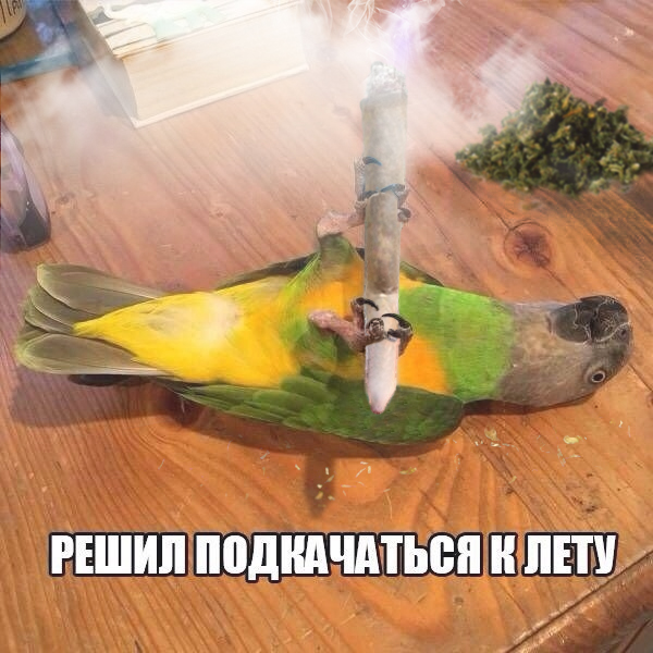 Так себе картинки 21.03.21