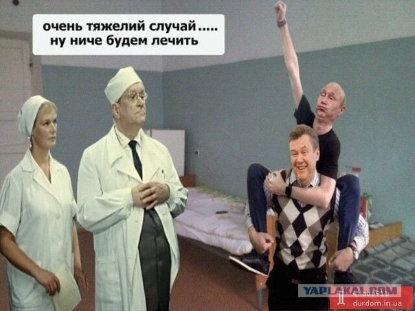 В Думу внесен законопроект об обязательной регистрации собак и кошек