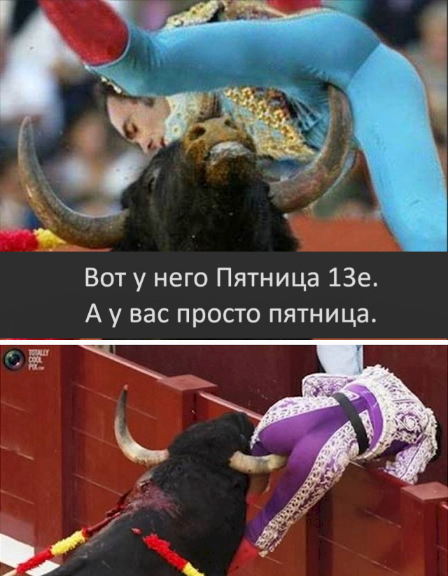 Картинки обо всём 24.04.21