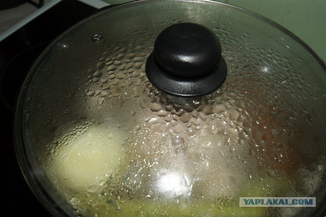 Куриный бульон для Чайников, Или «Кура-International»