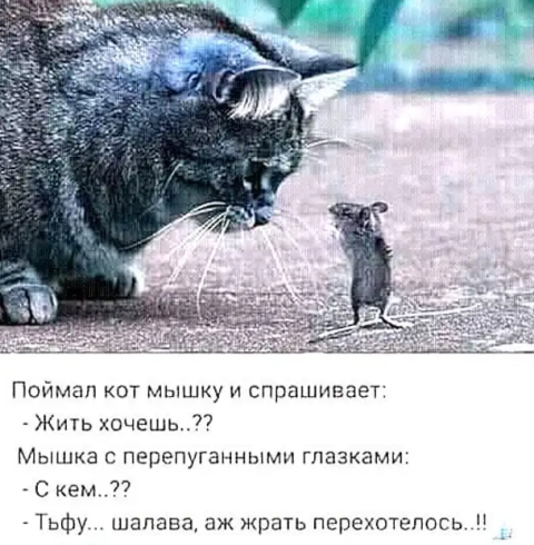 Картинки и мемы для настроения 17.06.2021