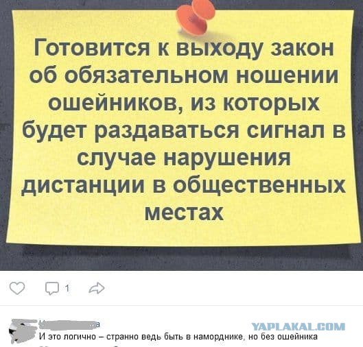 Баранный вируссологический пикчерзз