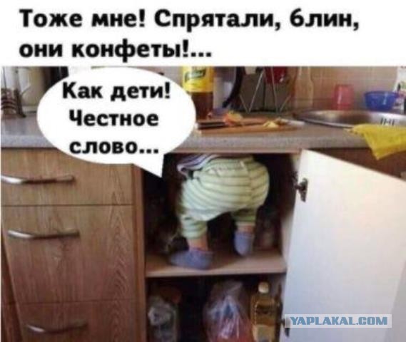 Так себе картинки 25.08.21