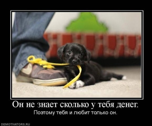 ТруЪ демотиваторы