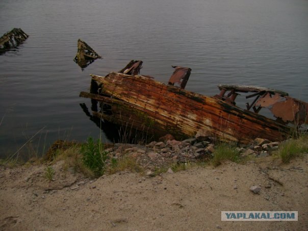 Я пойду за тобой на край света!
