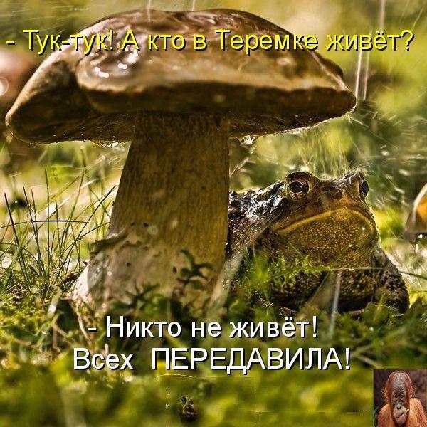 Картинки для улыбнуться #7.0