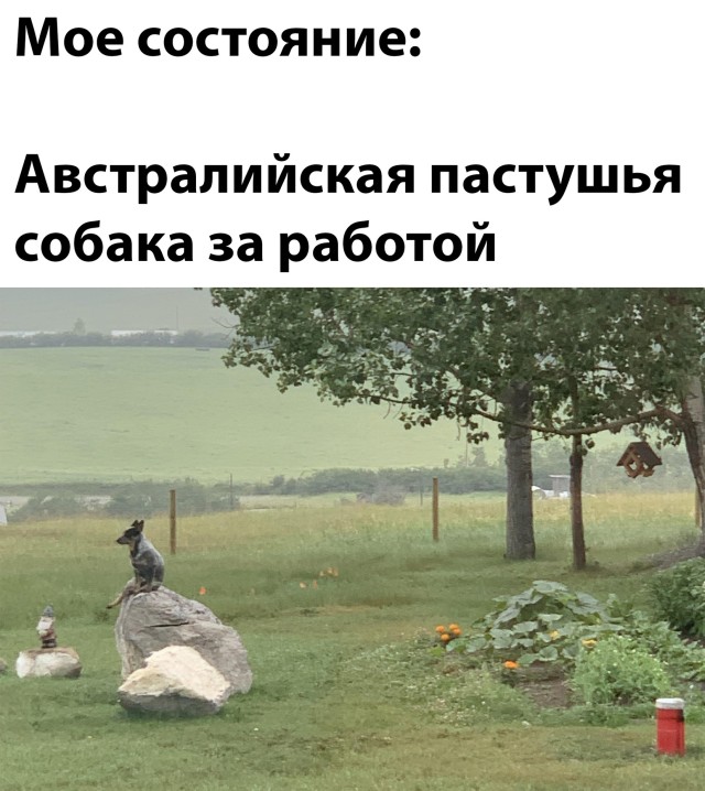 Картинки и мемы - "Жить, как говорится, хорошо..."