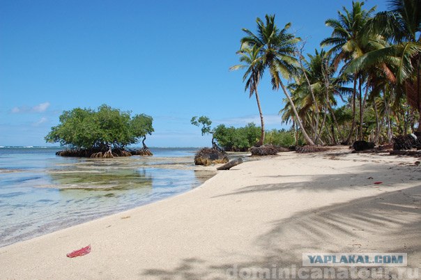 105 фактов о Доминикане глазами россиянина