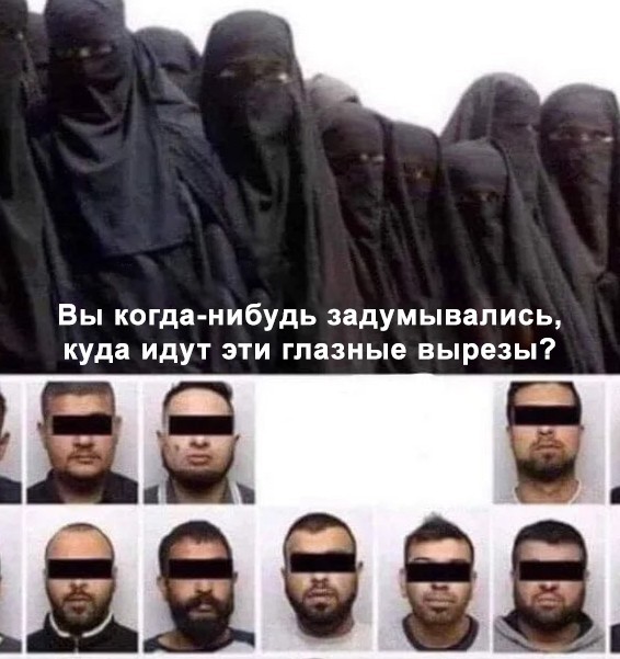 В Швейцарии могут ввести крупный штраф за закрытие лица никабом в общественных местах