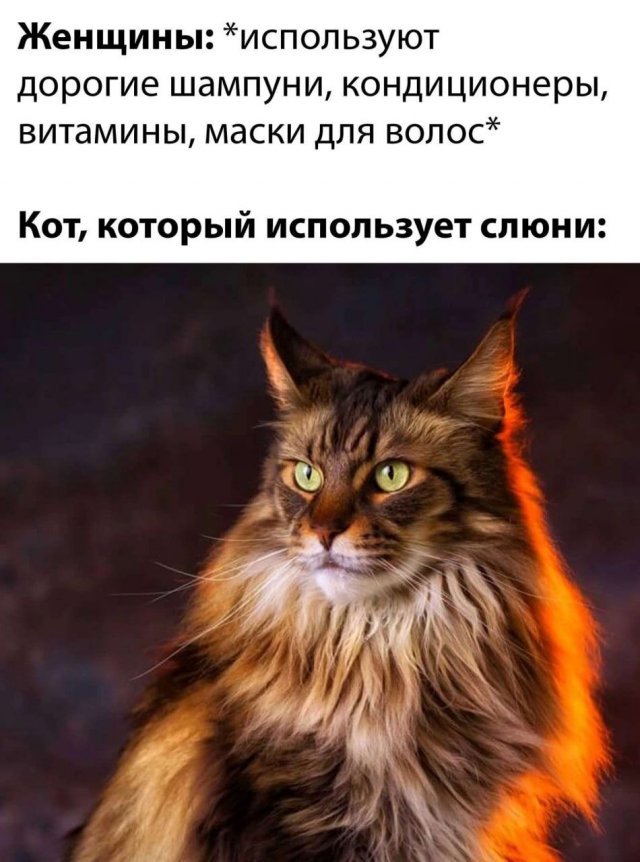 Немного картинок для настроения - 112