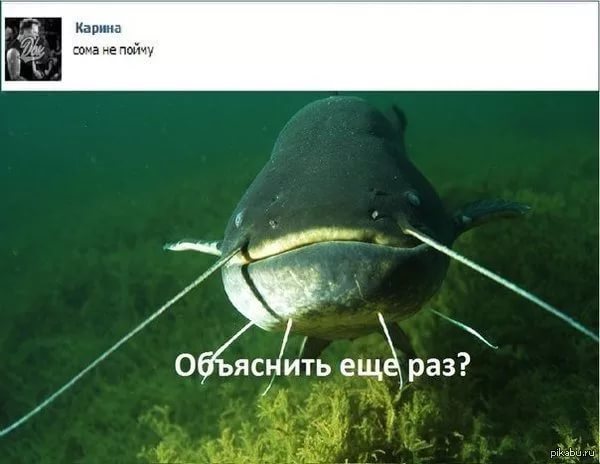 Получила по щам