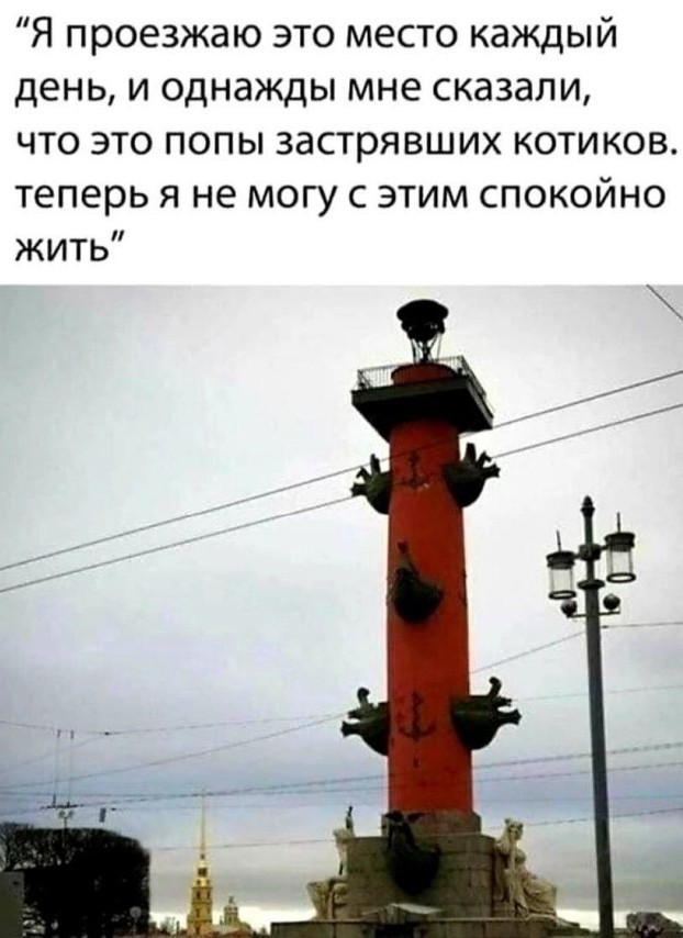 Чуток картинок 25.05.23
