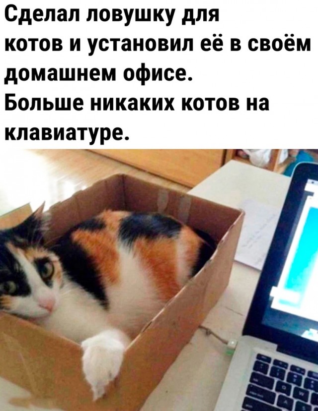 Так себе картинки 09.08.23