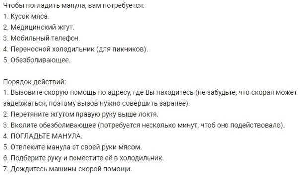 Почему не стоит заводить манула, даже если очень хочется