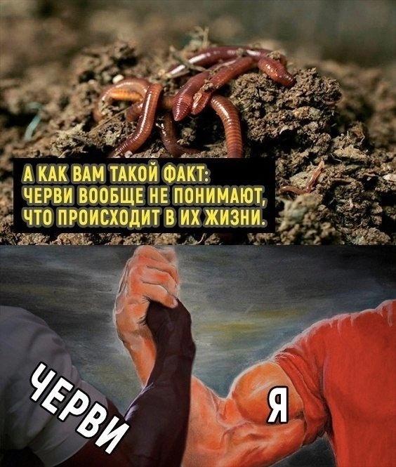 Нуштош 02.09.2024