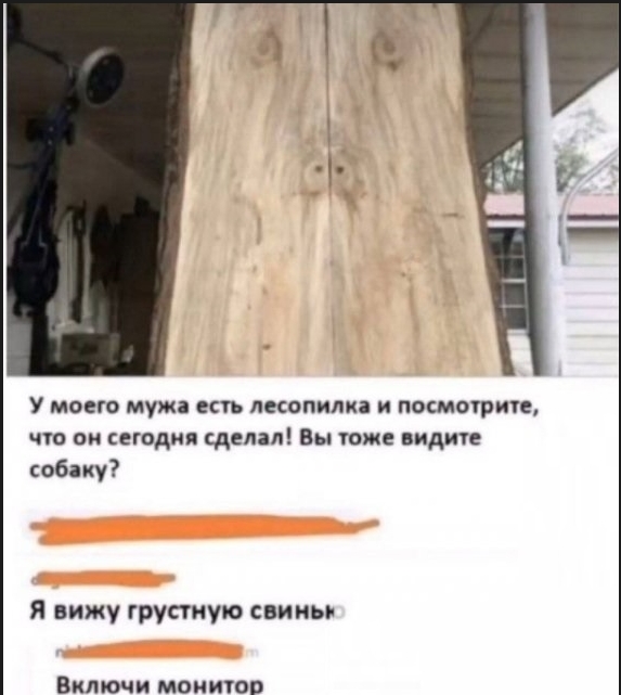О большом количестве порно в современном мире