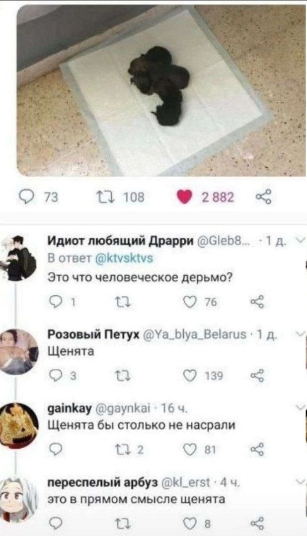 Так себе картинки 03.12.24