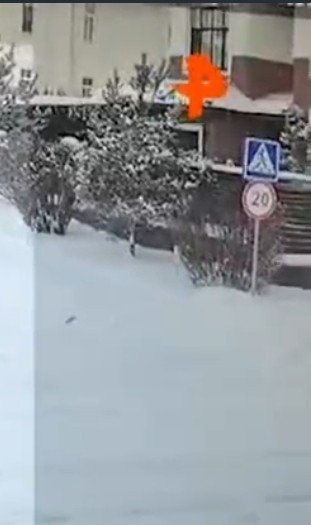 Пьяная мразь за рулем "Порше" сбила насмерть мальчика в Новой Москве