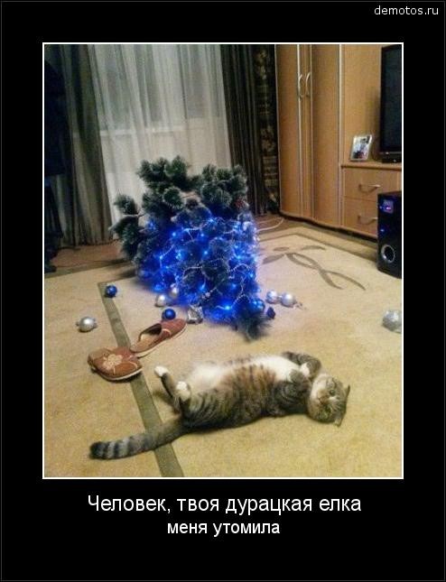 Баяны, очень баяны, но думаю улыбнёт