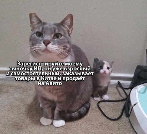 Какая муха тебя укусила?
