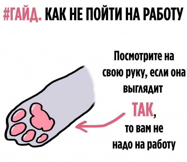К котовторнику: подборка картинок-баянов с котиками и про котиков. Выпуск 6