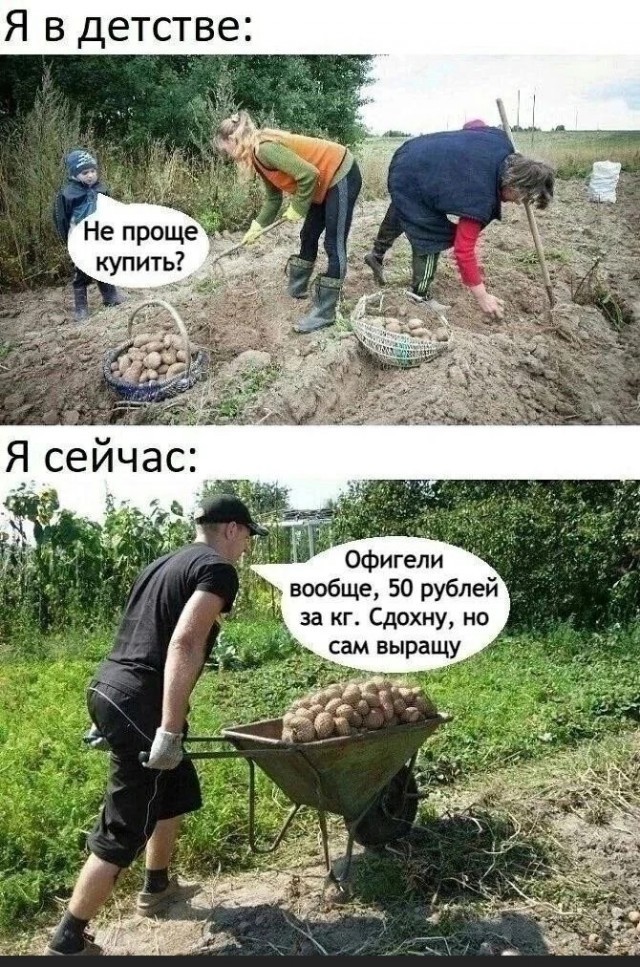 Цены пробили потолок. Какой картофель лежит на полках московских магазинов, сколько стоит и когда подешевеет