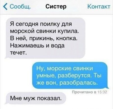 Так себе картинки 15.06.25