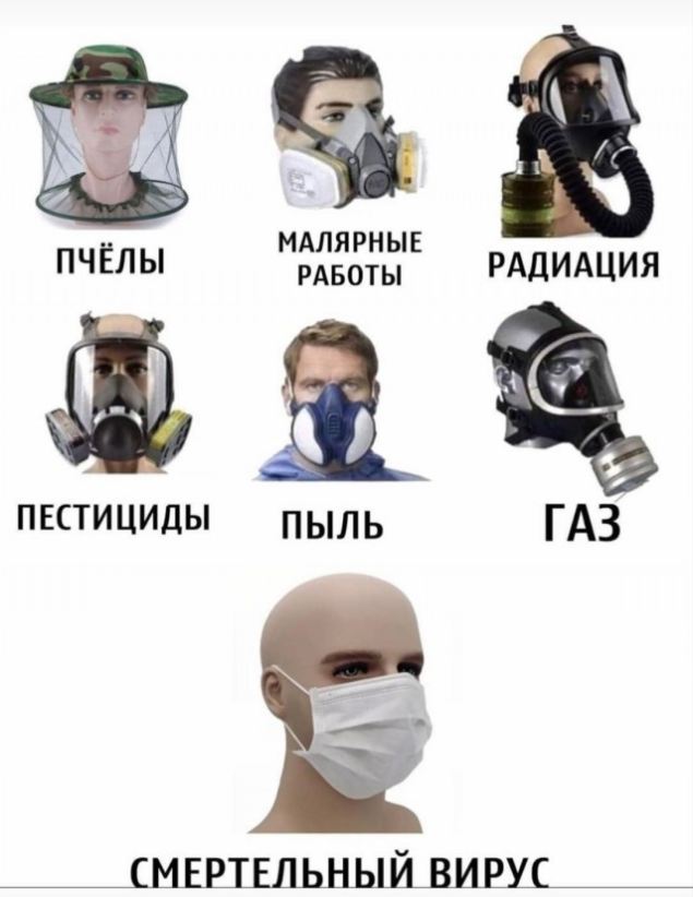 А помните, как все дружно в намордниках бегали