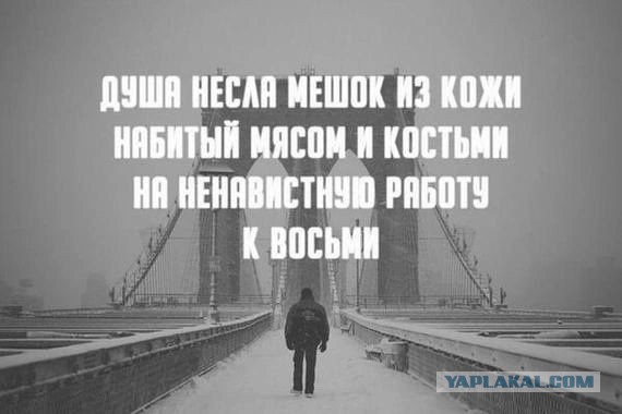 Утречко. Боянчики. Красоточка