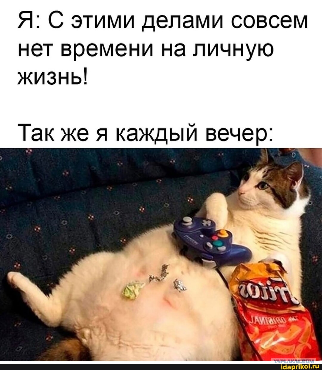 20585493.jpg