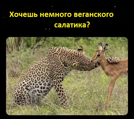 Когда ничего нельзя...