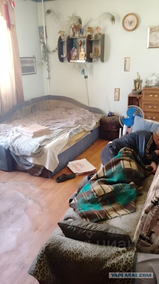 «Дед в комплекте?»