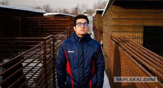 Управляющая «Додо Пиццы» уволилась после скандала с собакой