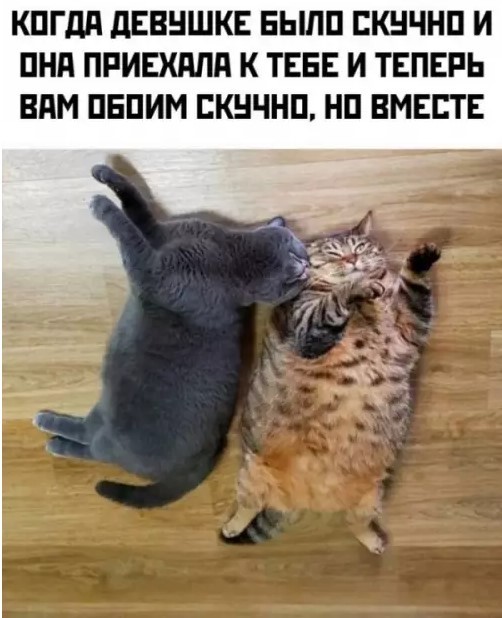 Картиночки, баянчики 02 апреля